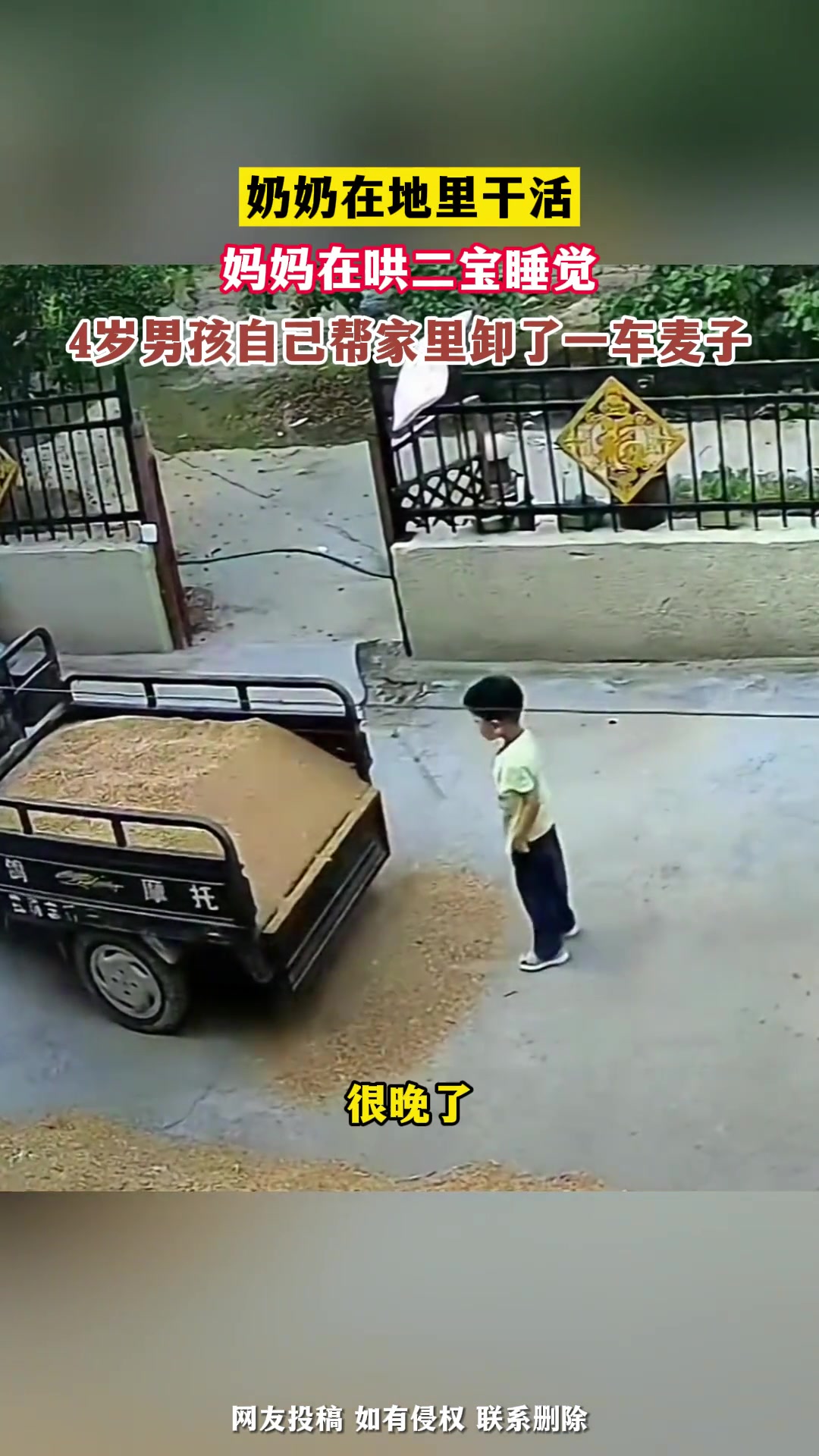 懂事的孩子！4岁男孩独自帮家里卸一车麦子…