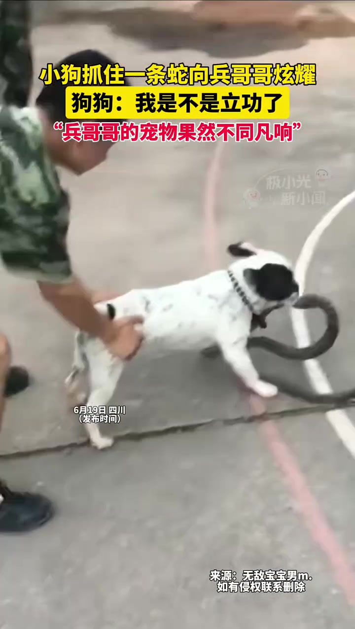 厉害了，还不愿意松口呢！