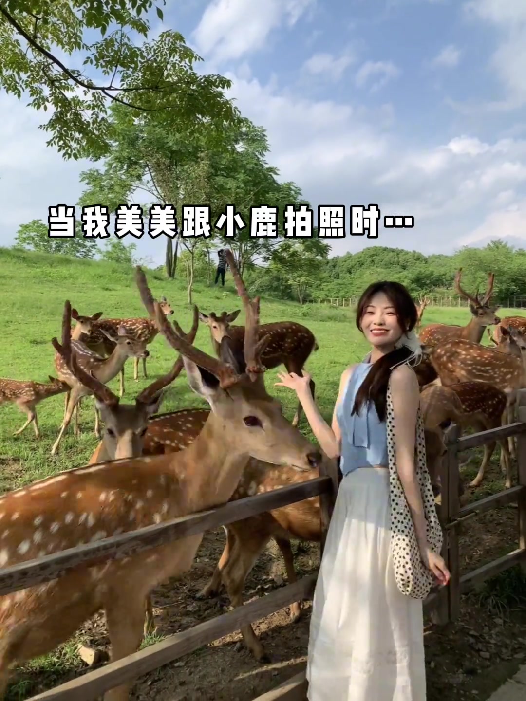 当我美美跟小鹿拍照时……