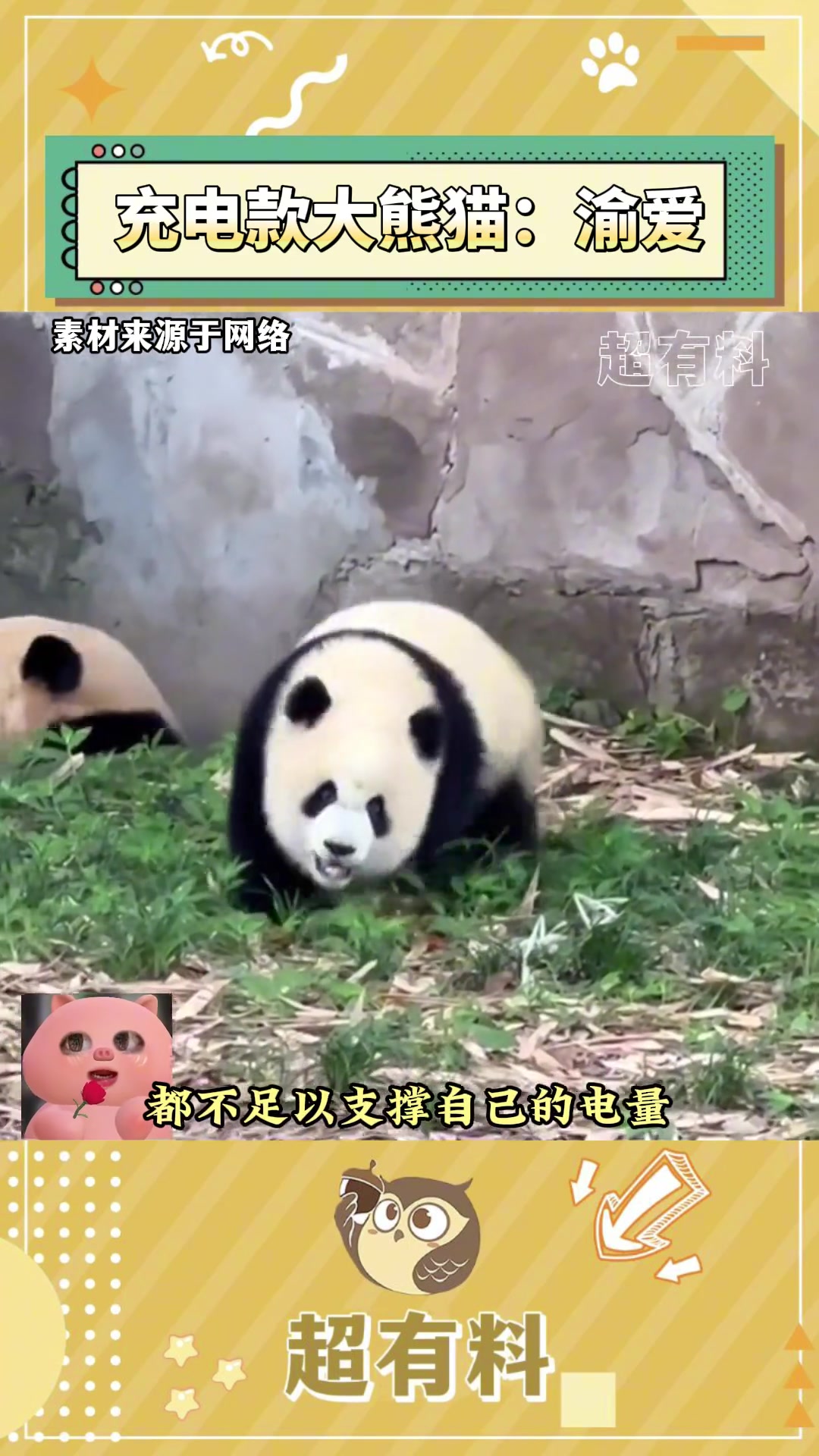 渝爱赶快送到姨姨这来看看是不是电池没装好~