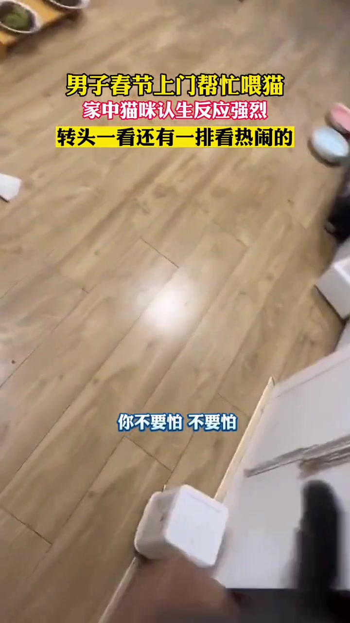 你长相攻击到了它吧