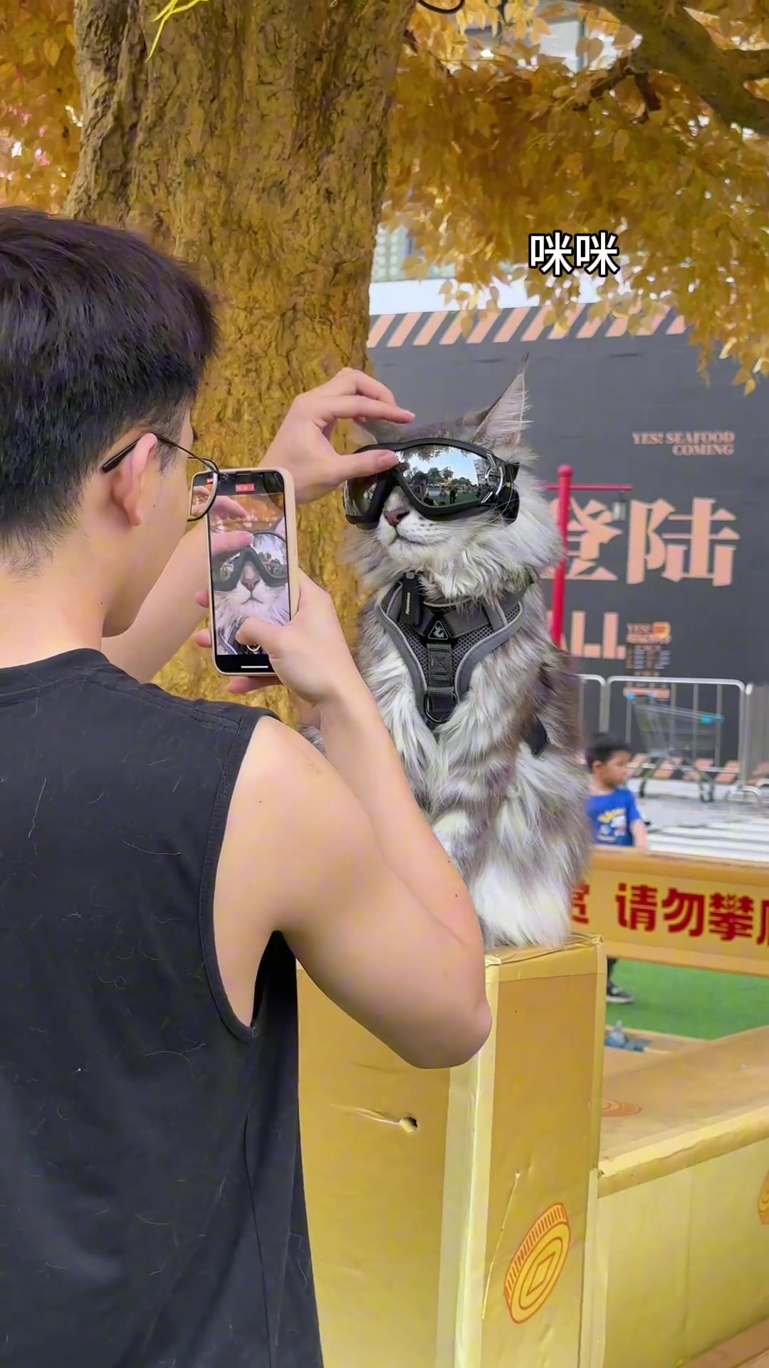 小孩哥：哇咪咪你好帅额，把猫整害羞了！