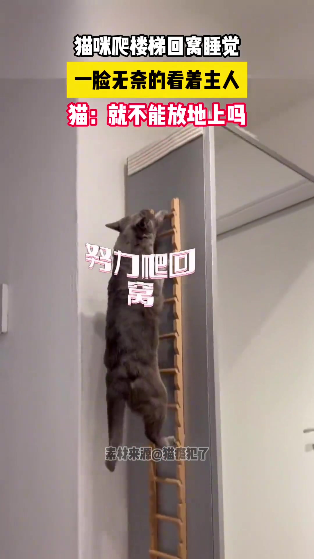 爬上来瞌睡都醒了