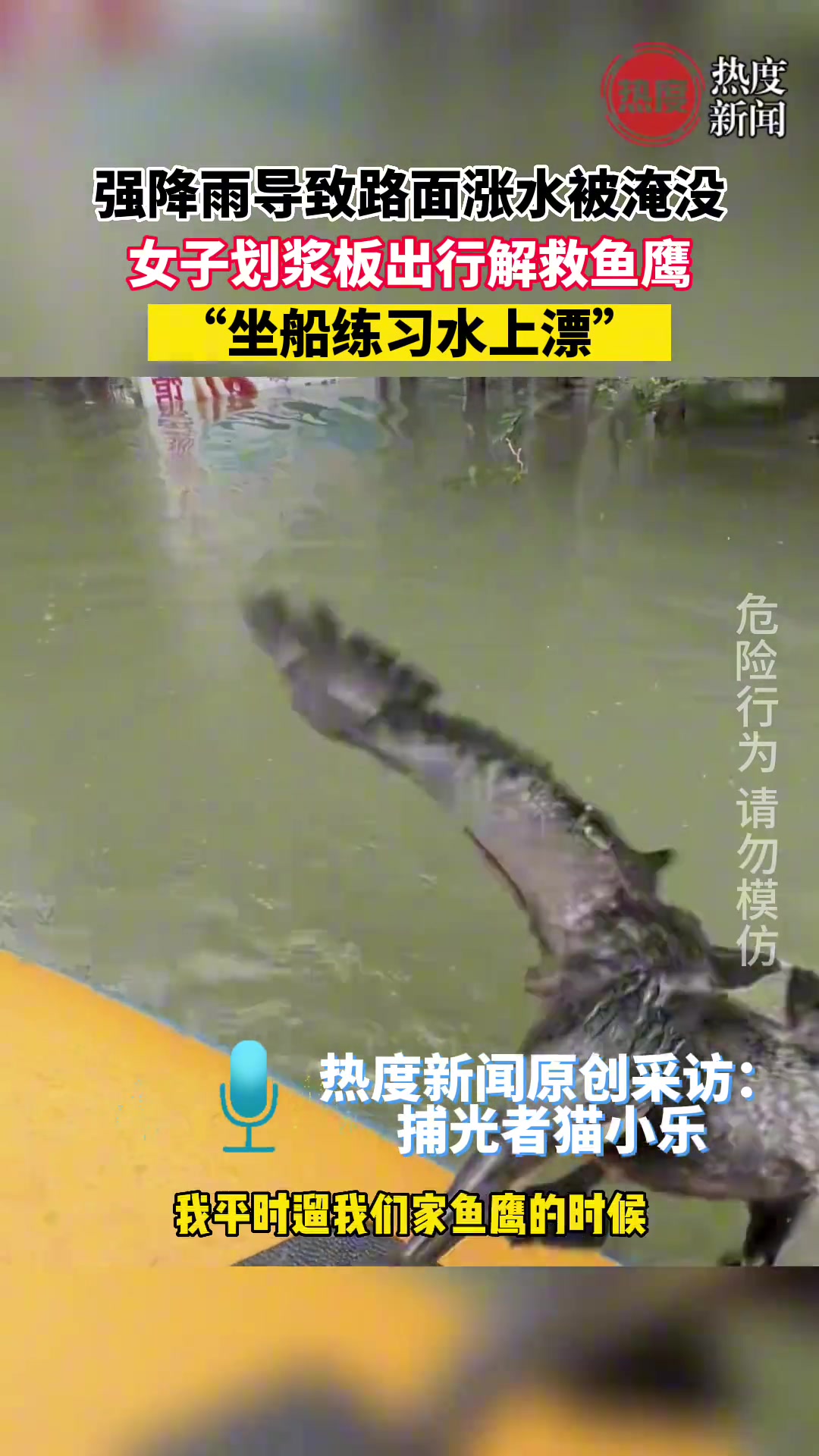 强降雨导致路面涨水被淹没，女子划浆板出行解救鱼鹰