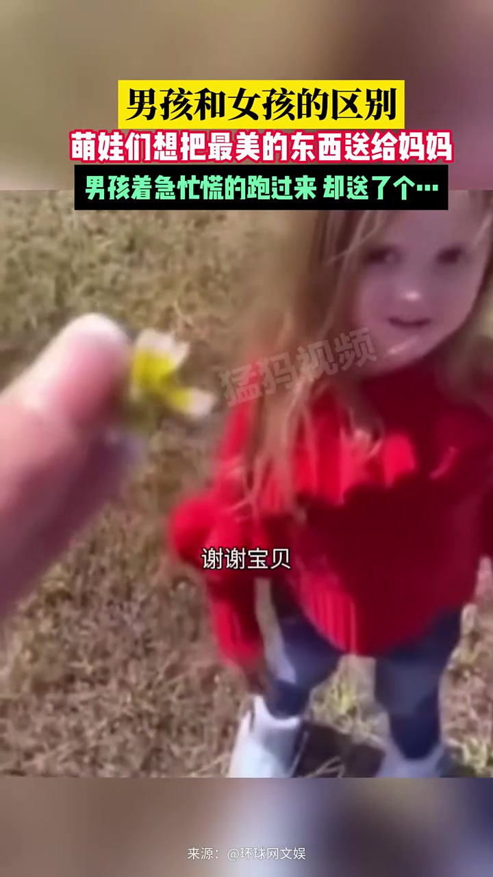 男孩和女孩的区别