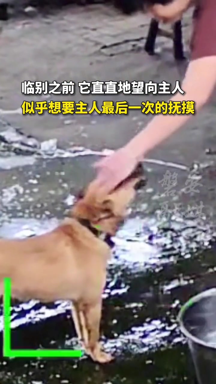 在和你永别前能再摸我一次吗？