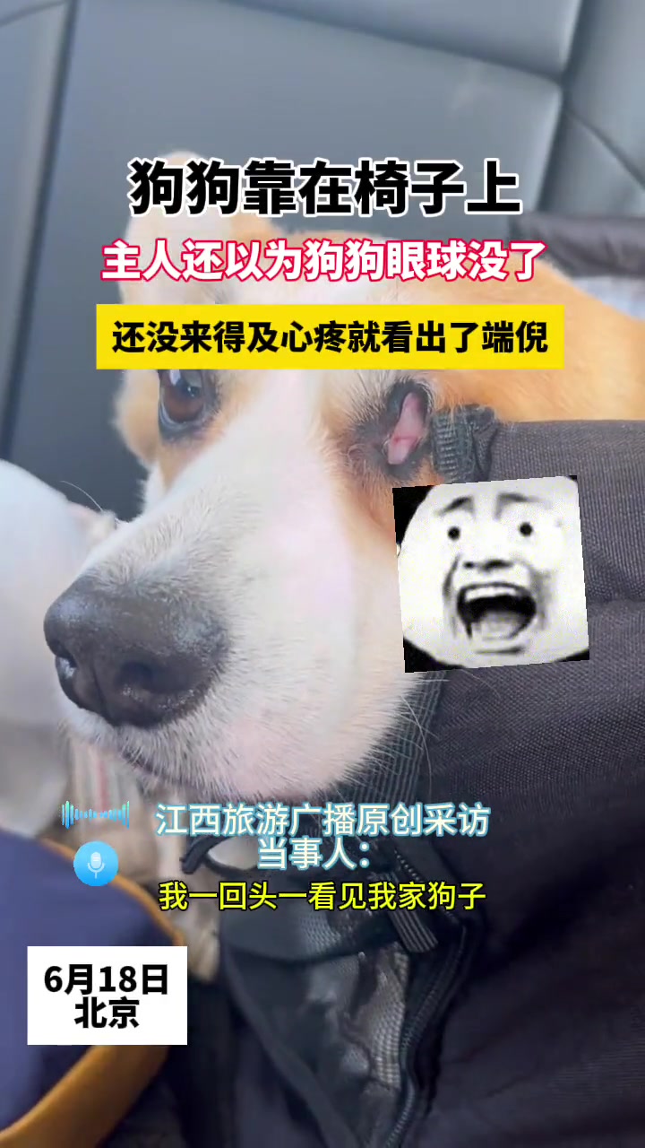 眼球没了？还没来得及疼爱就看出了端倪