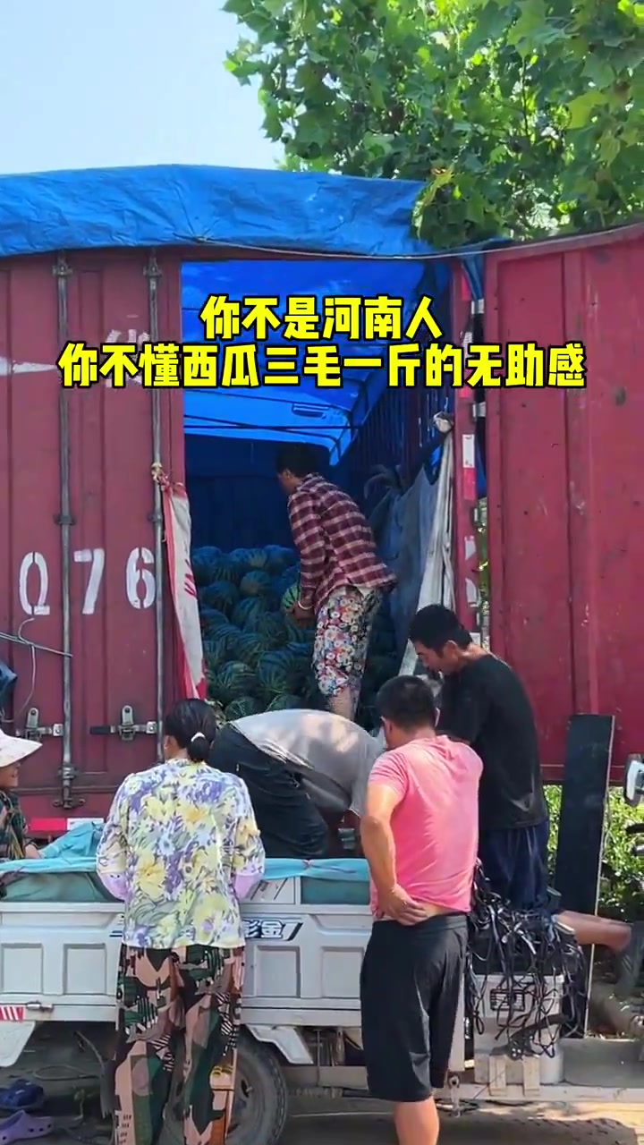 瓜农三毛不好卖，客户三块买不好