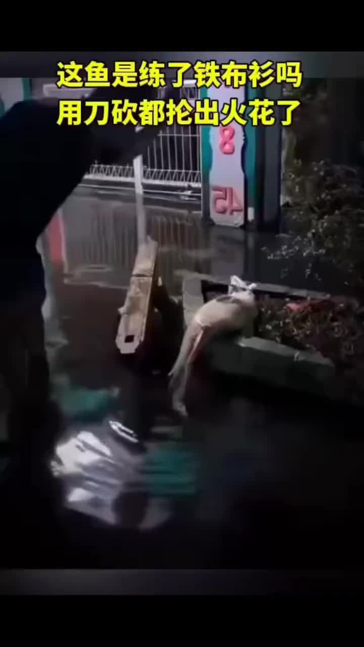 这鱼是练了铁布衫吗？刀都抡出火花了？？！