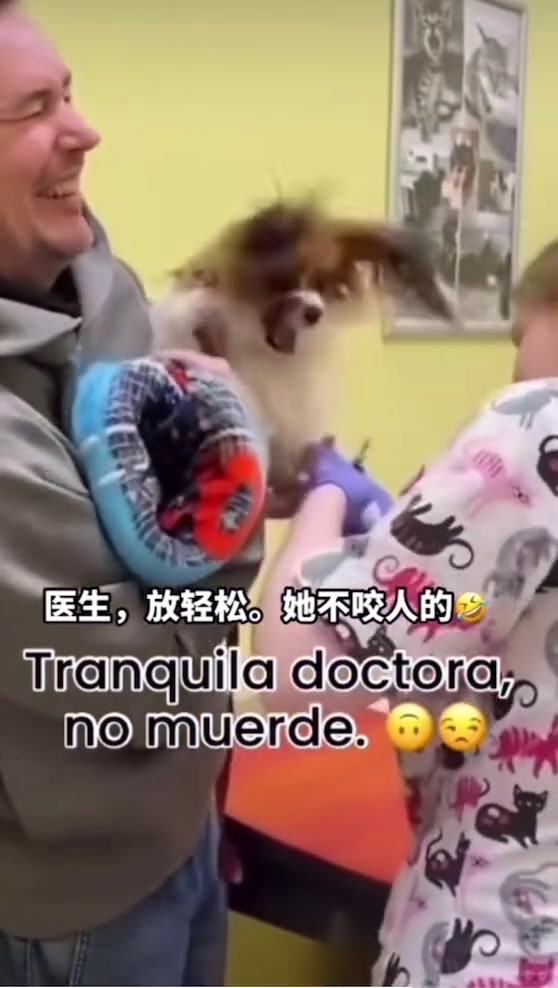 狗子：哈哈！他的话你也敢信？直接给你来个大的