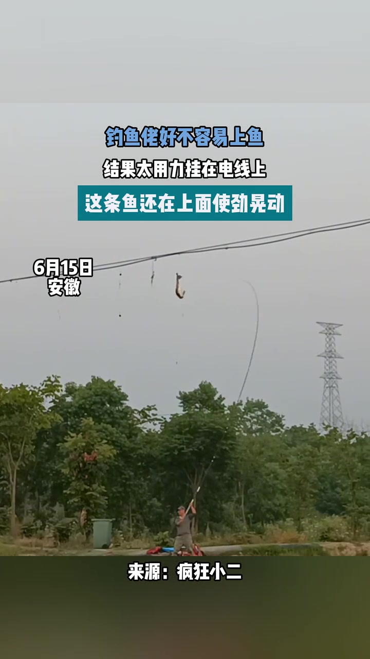 作呢吧，挂电线了还敢弄