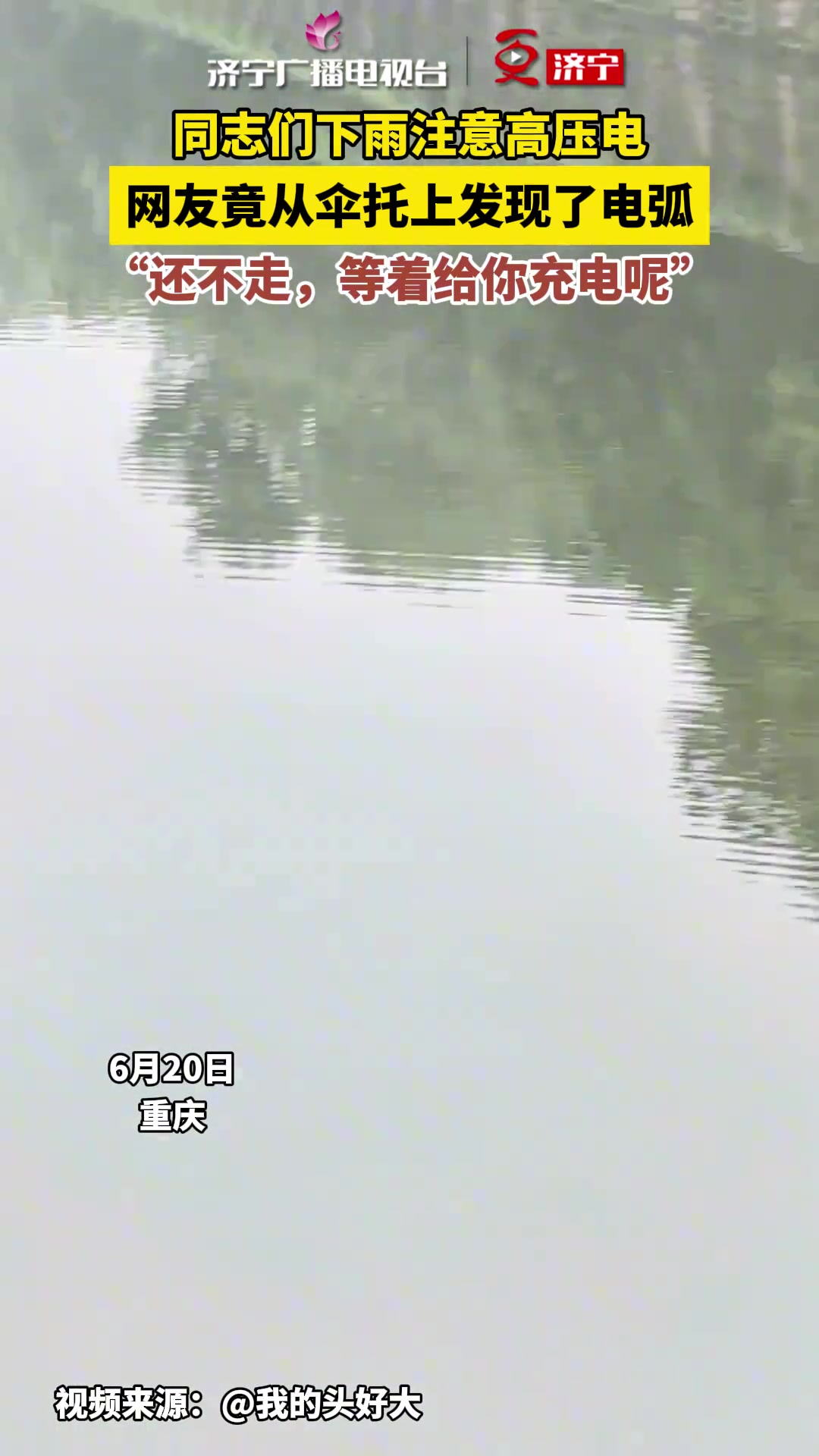 网友竟从伞托上发现了电弧 还不走是等着充电呢