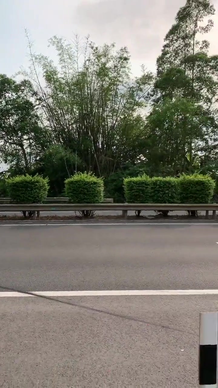 应急车道不允许停车