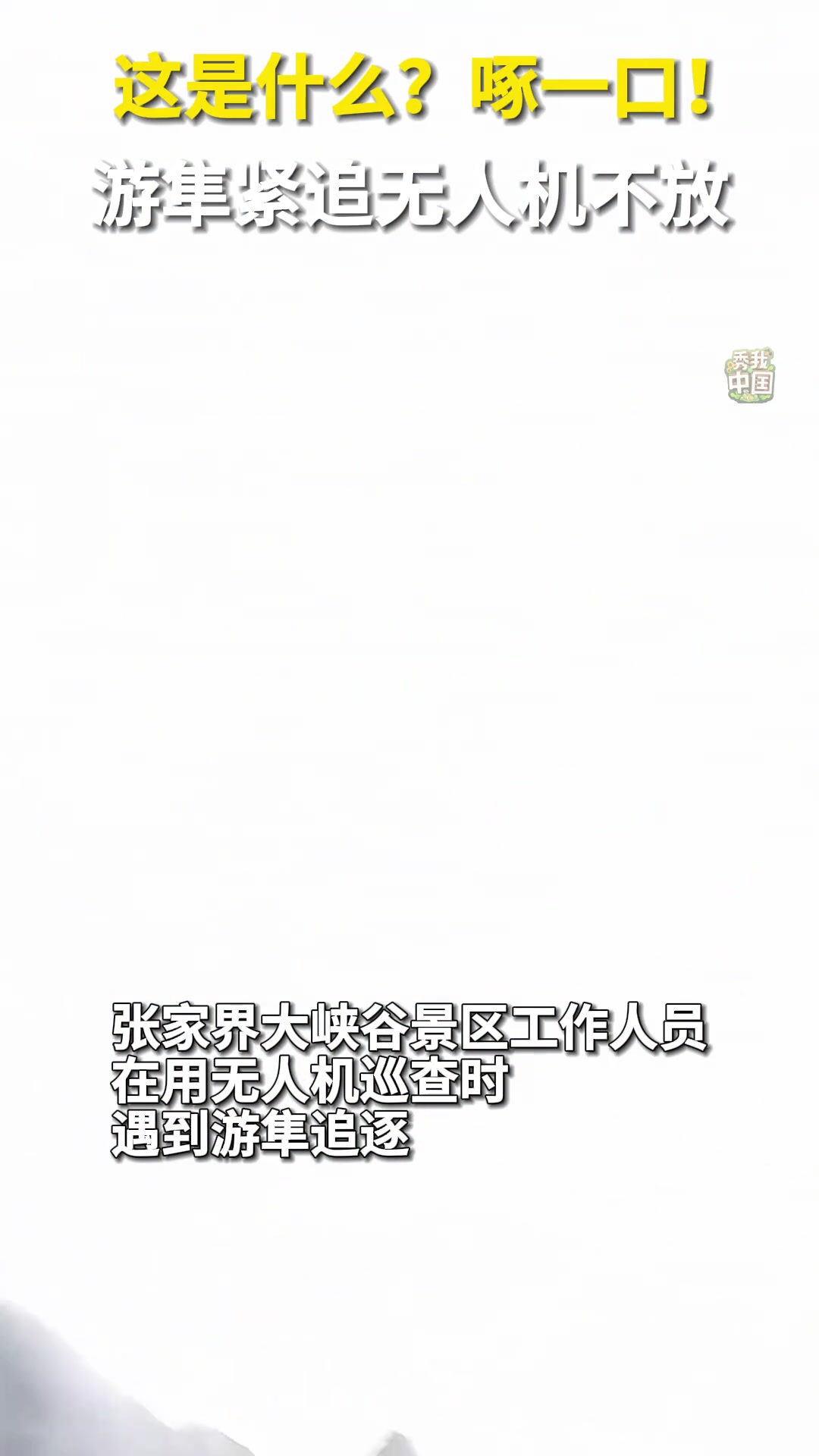 隼：什么级别，敢飞老子前面