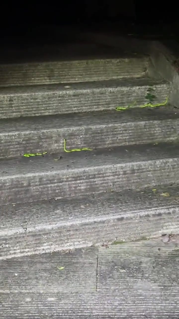 晚上爬山一定要小心啊，一不小心就完了