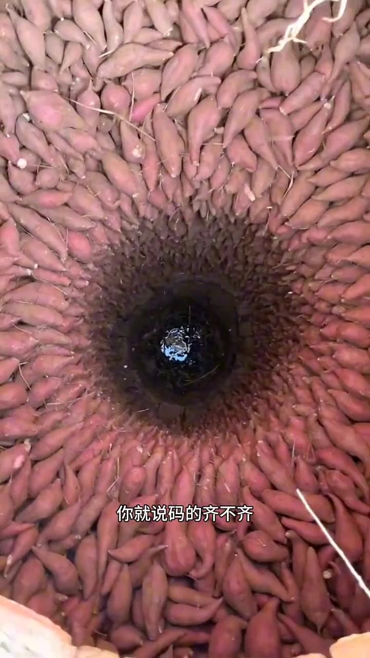 先别管齐不齐，这是怎么放进去的？