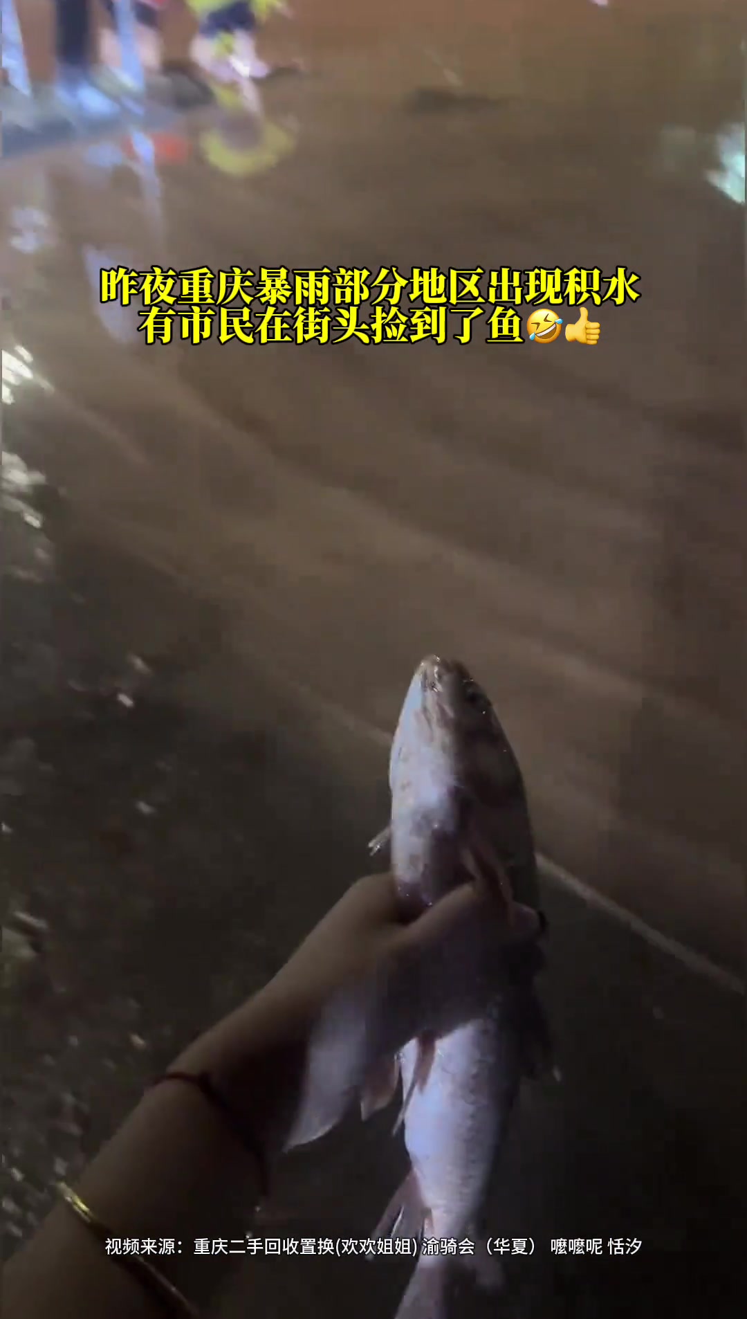 钓鱼佬：在哪？昨晚的雨太大了！有人捡到了鱼
