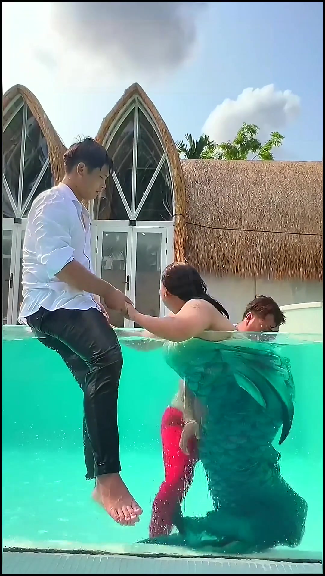 摄影师承受了太多！网友：这是虎鲸吗？