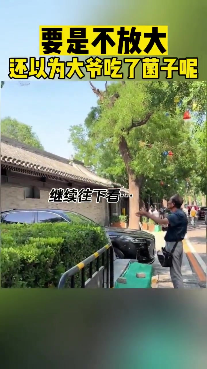 要是没有放大看到那个小风筝，还以为大爷吃了菌子呢