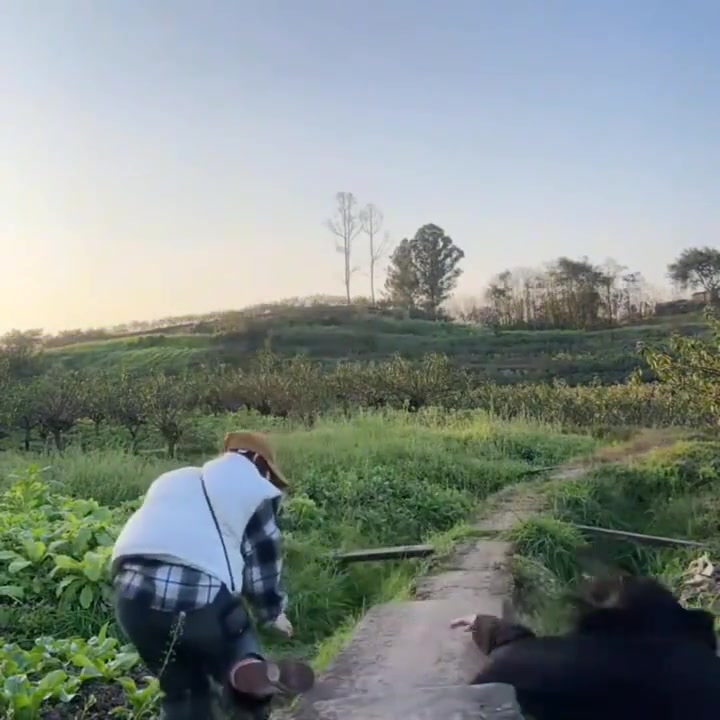 逗你一笑且烦恼忘掉 开心一下吧