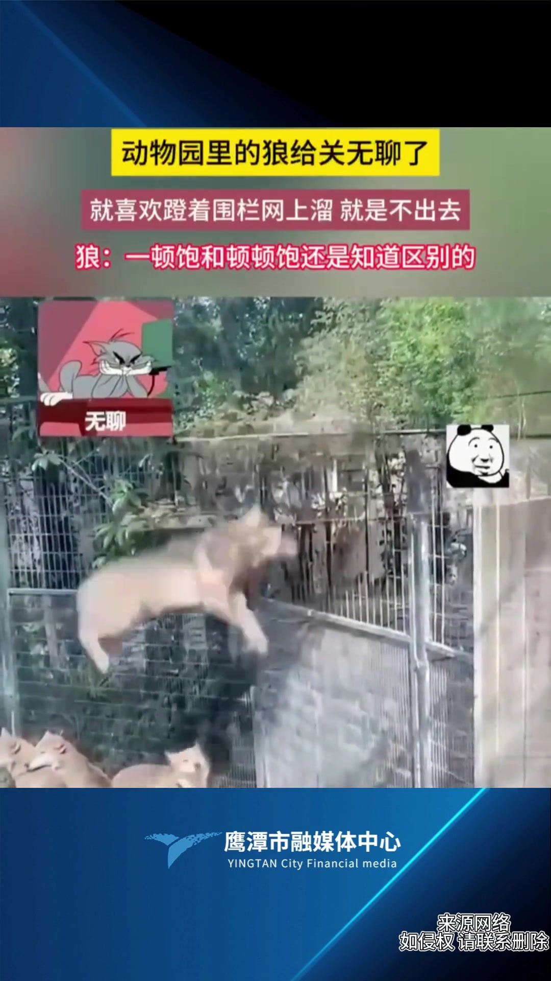 一顿饱和顿顿饱还是知道区别的！