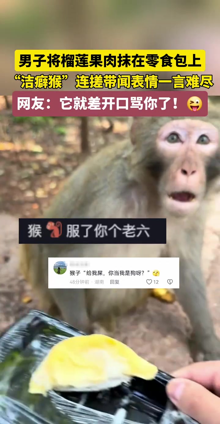 给哦喂屎？男子将榴莲抹在零食上，猴子就差张嘴骂人了