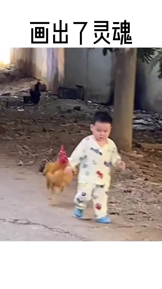 下次见这只鸡就是在盘子里了