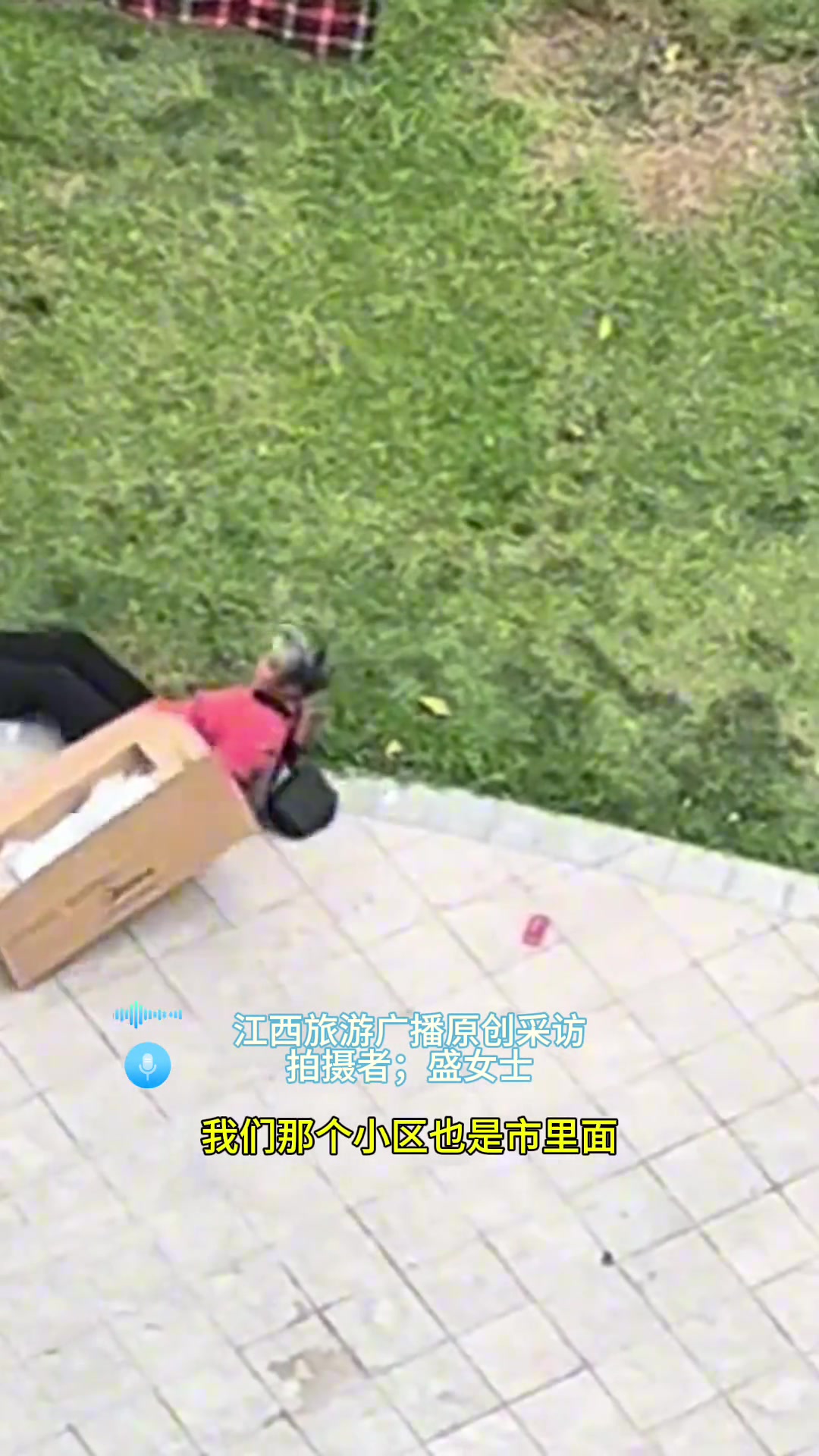 得不偿失啊！！俩老人为抢夺纸箱，结果不小心摔跤