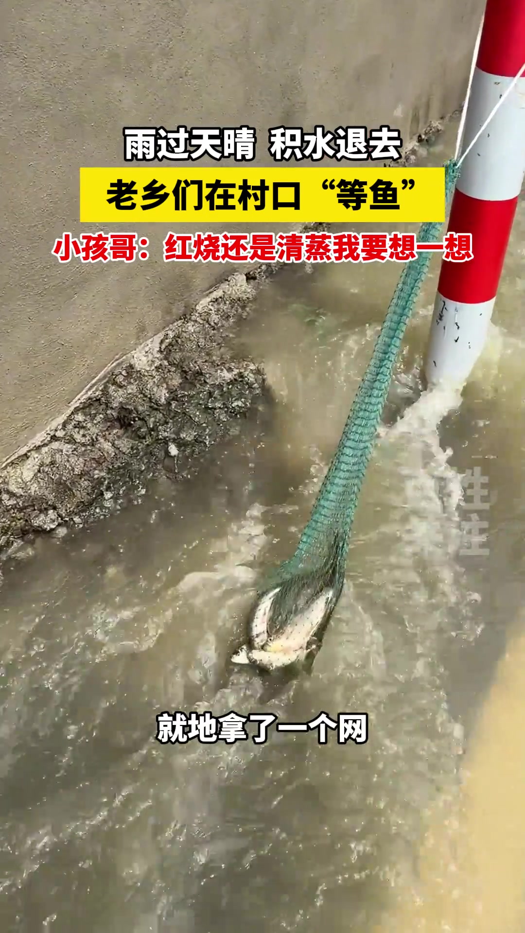 因祸得福！雨过天晴积水退去，老乡们在村口“等鱼”