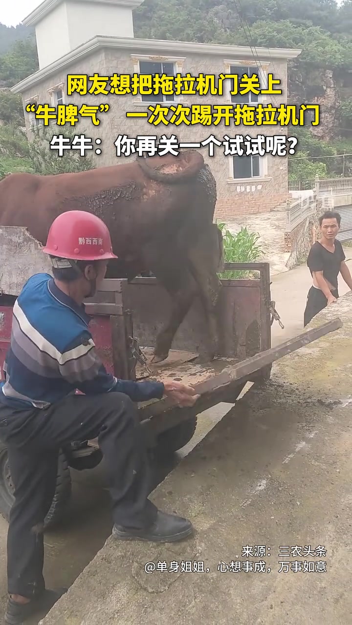 牛：你再关一个试试呢？网友：我和我最后的倔强！