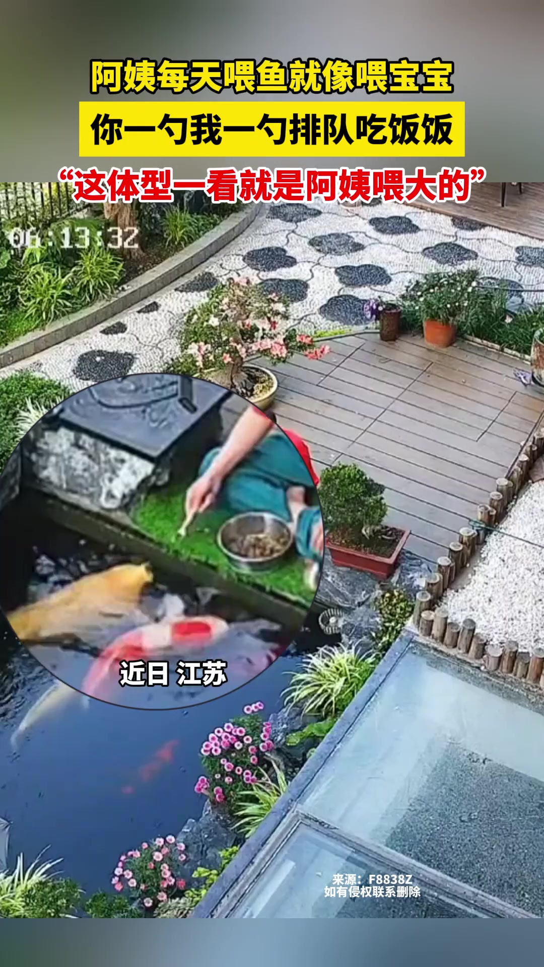 “这体型一看就是阿姨喂大的”
