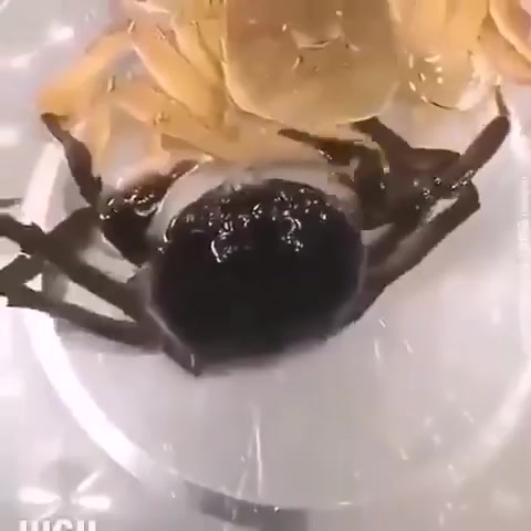 第一次见到螃蟹蜕壳，还挺有意思的