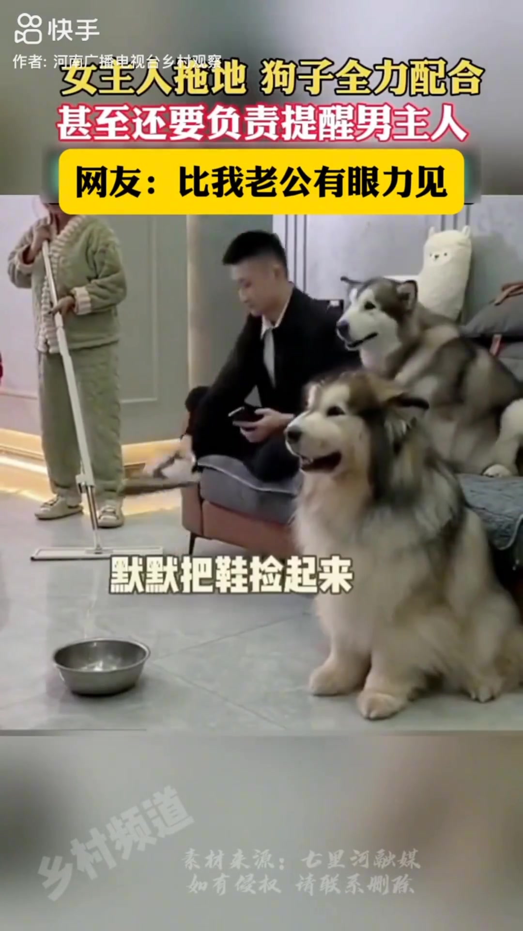 成精了！这是一只情商很高的狗