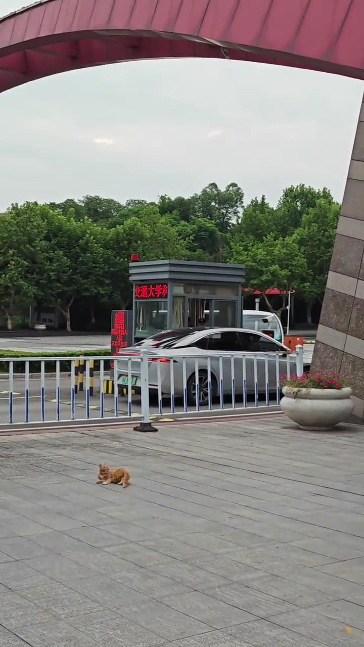 猫:我可以失误很多次，但你只有一次失误就够了