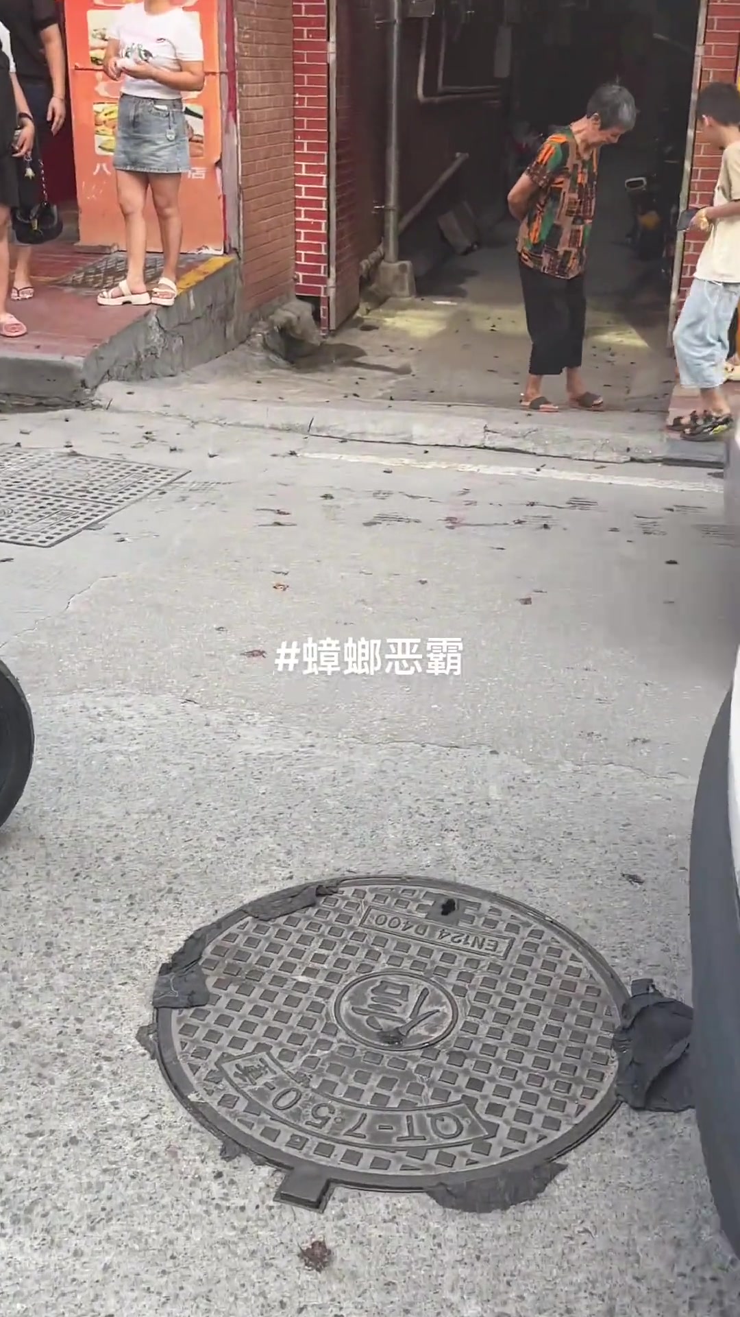 家人们谁懂啊！南方满地的蟑螂，要崩溃了！