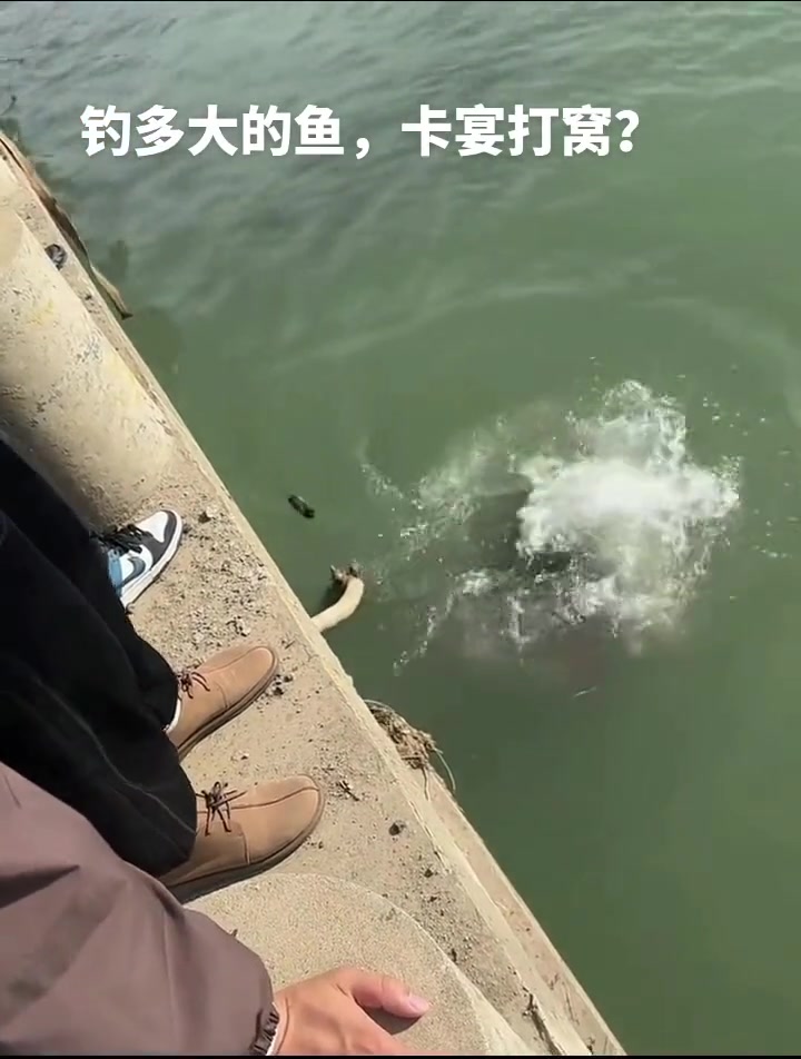 卡宴打窝，越钓越多