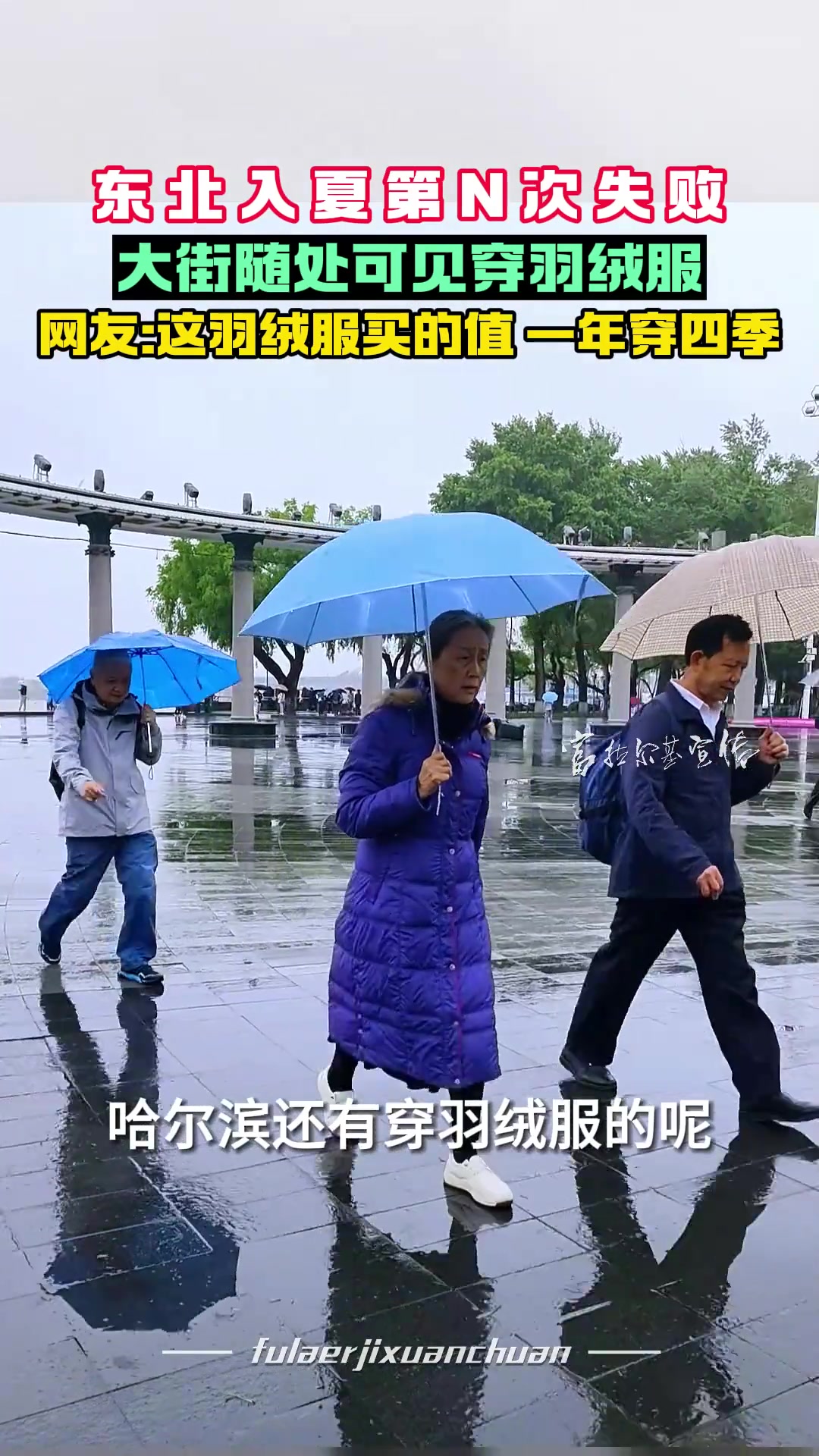 东北入夏第N次失败！