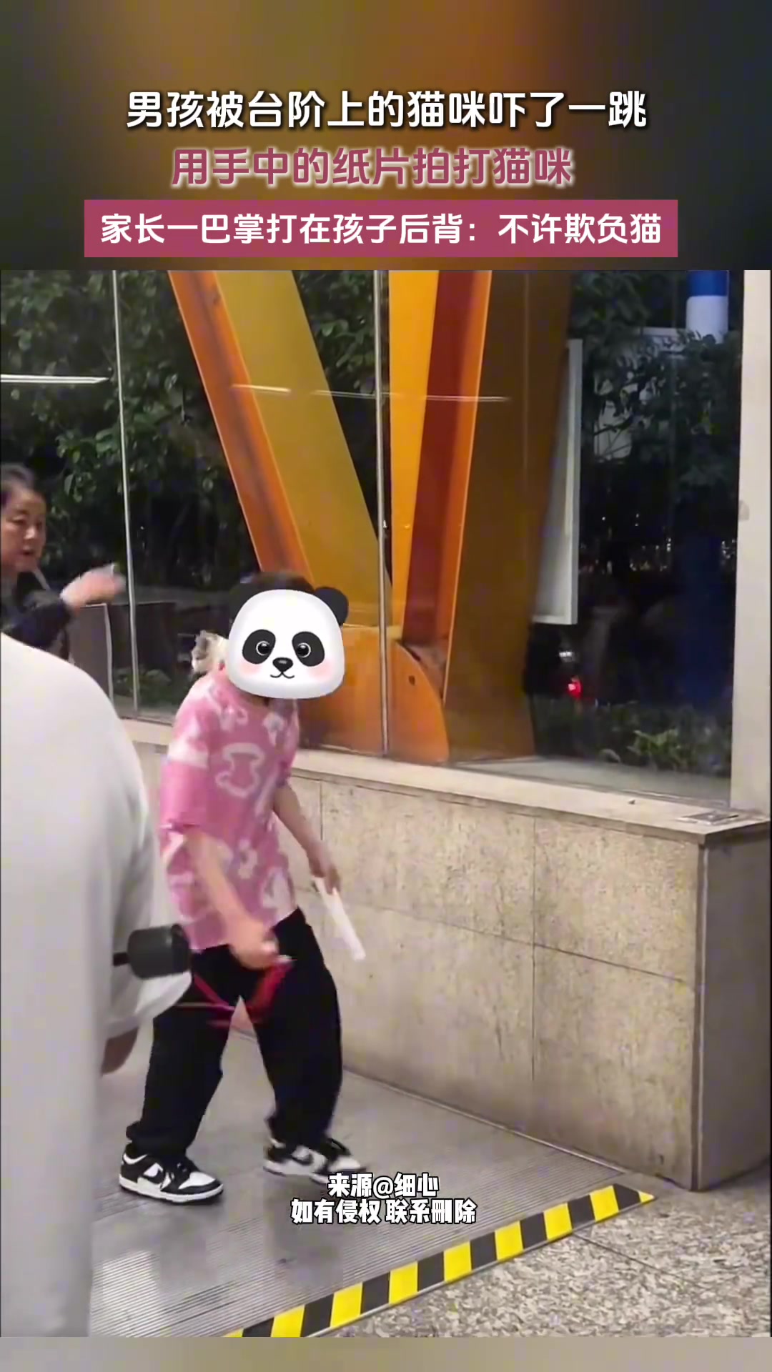男孩被猫咪吓了一跳，气急败坏还击，被家长制止