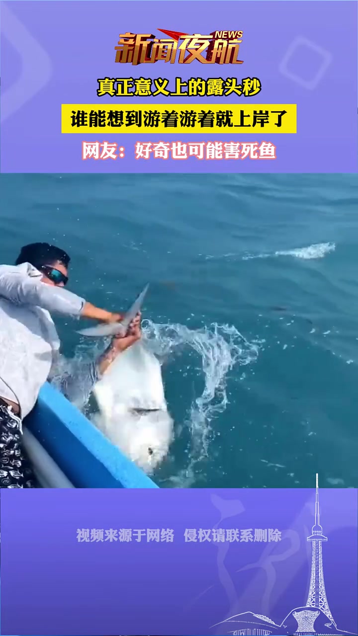 真正意义上的露头秒，谁能想到游着游着就上岸了