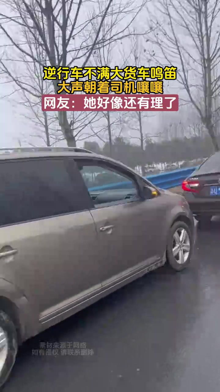 她这吼的好像她逆行还有理了
