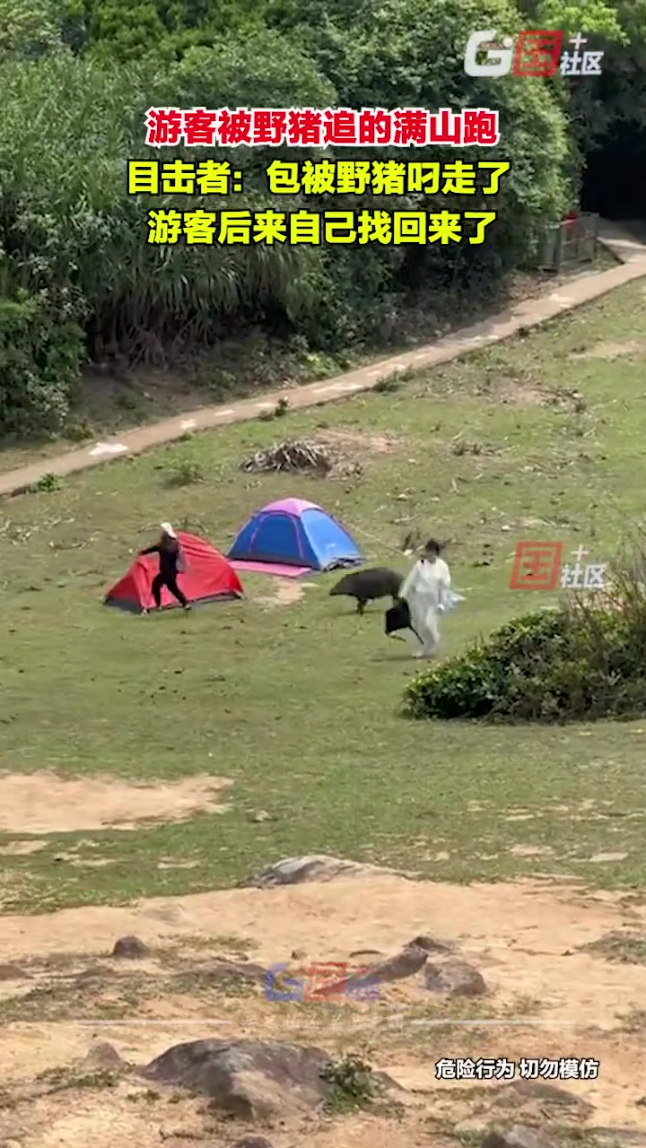 还乐呵呢，被拱了哭都来不及