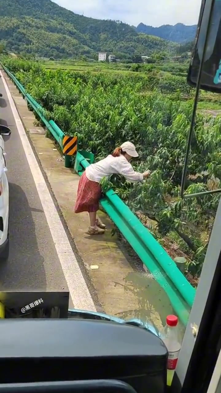 摘俩尝尝就算了，还摘那么多！