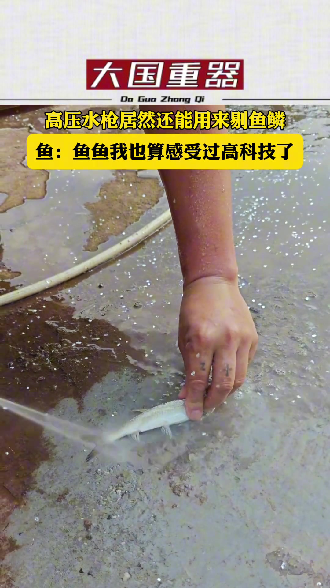 高压水枪竟还有这功能？