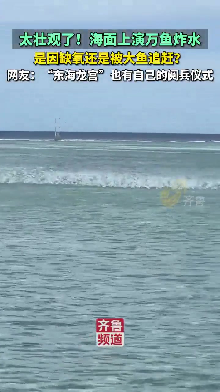 海南海面上演万鱼炸水奇观，这是缺氧还是被大鱼追赶？