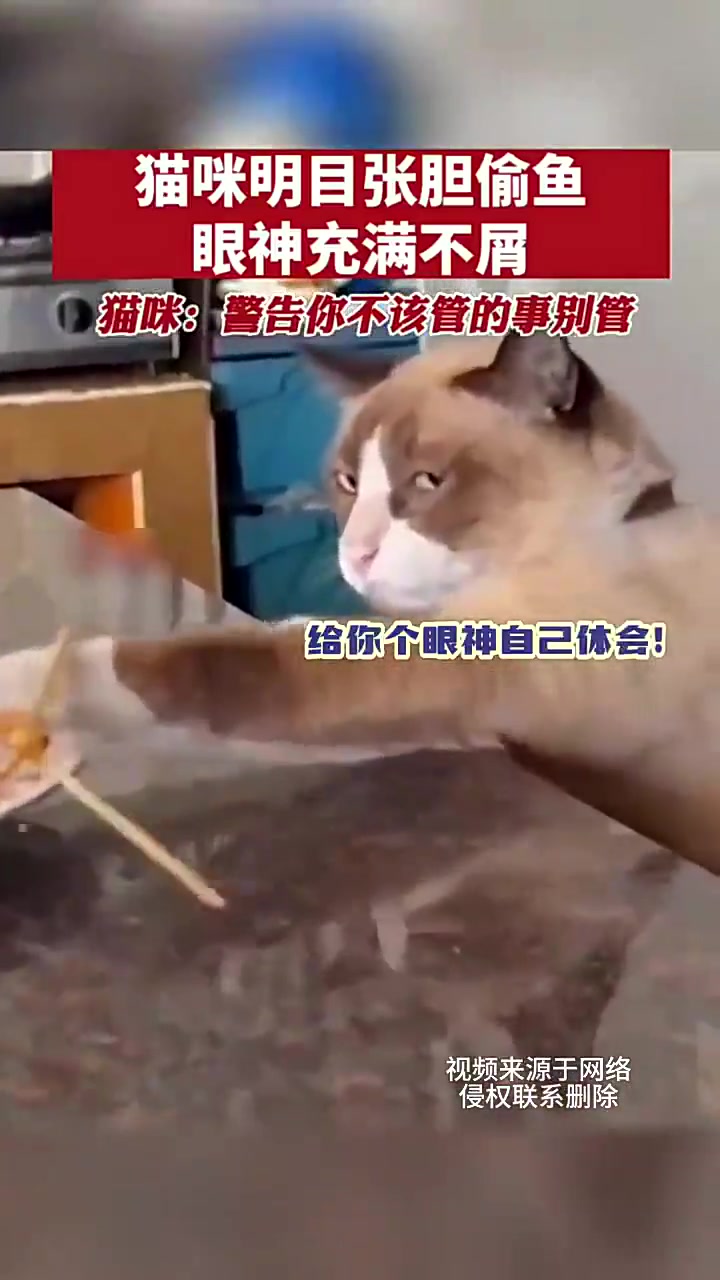 我滴个乖乖！这是什么眼神？