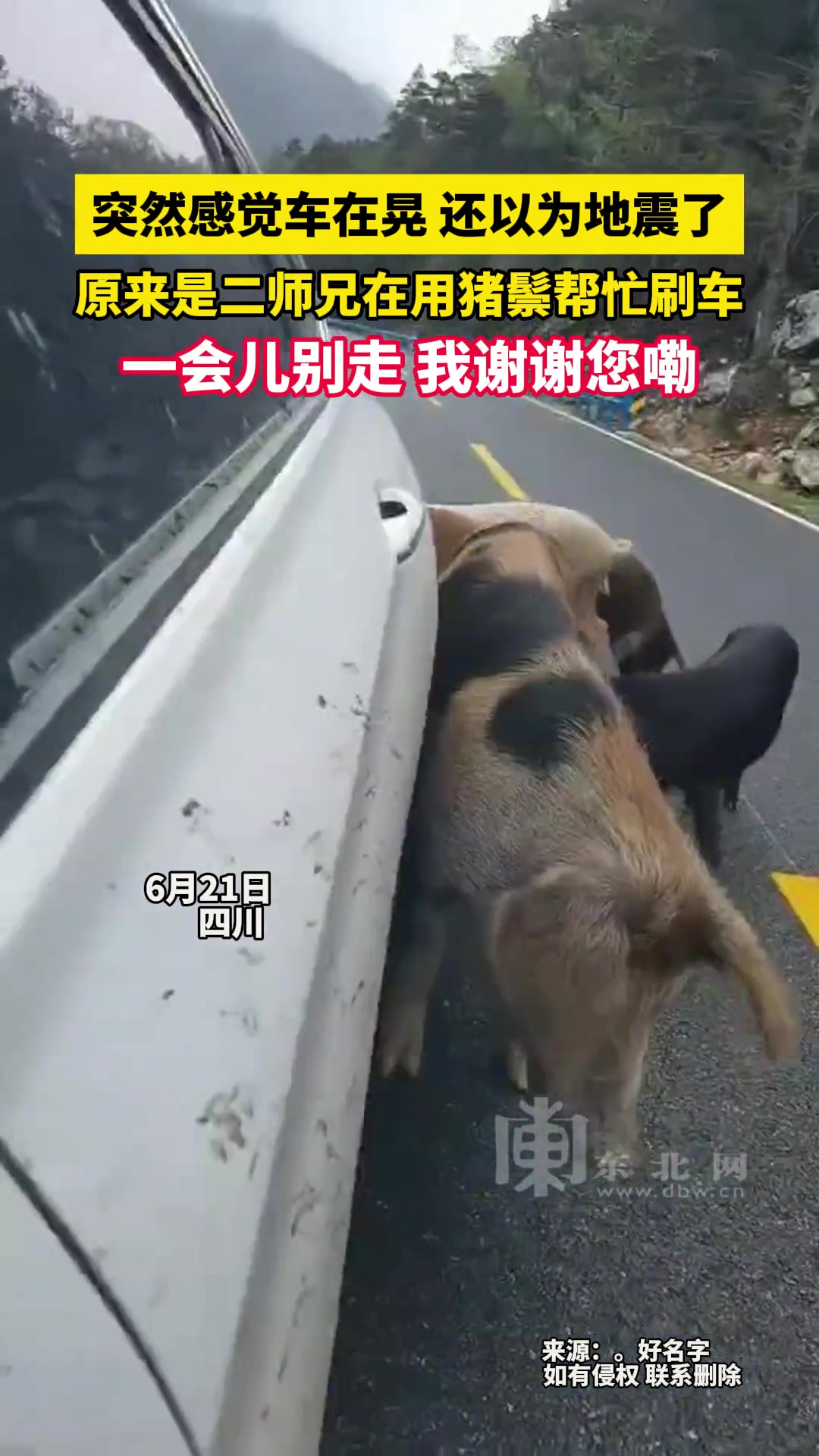 突然感觉车在晃以为地震，倒后镜一看懵了原来…