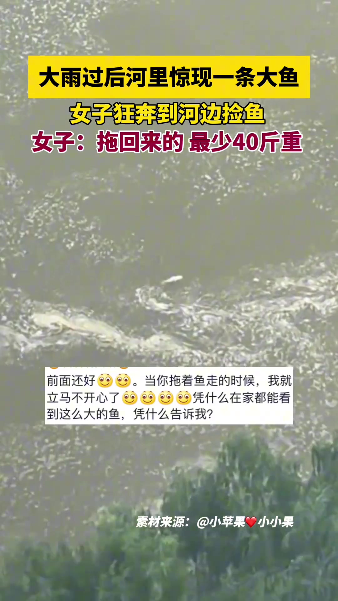 大雨过后河里惊现一条大鱼 女子狂奔到河边捡鱼