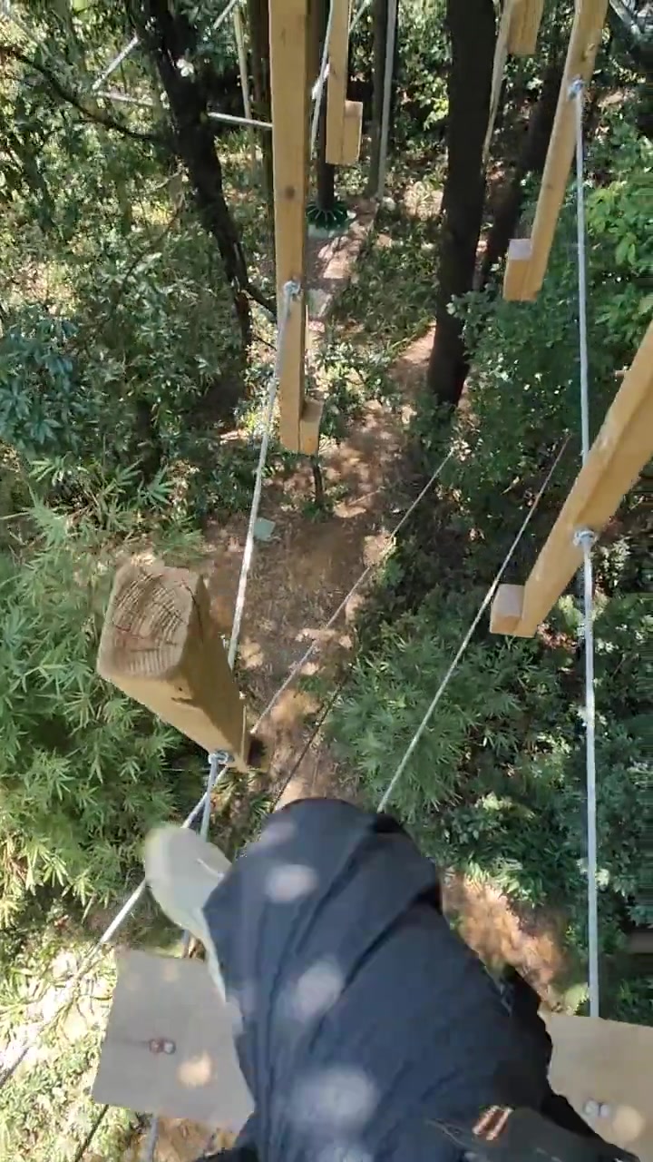 我要走这种独木桥不懂得见阎王爷多少次