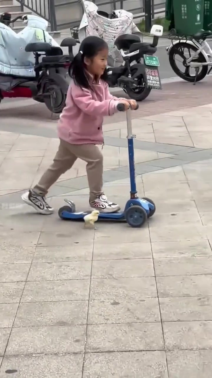 本身是一副和谐的画面，直到女孩的那一脚