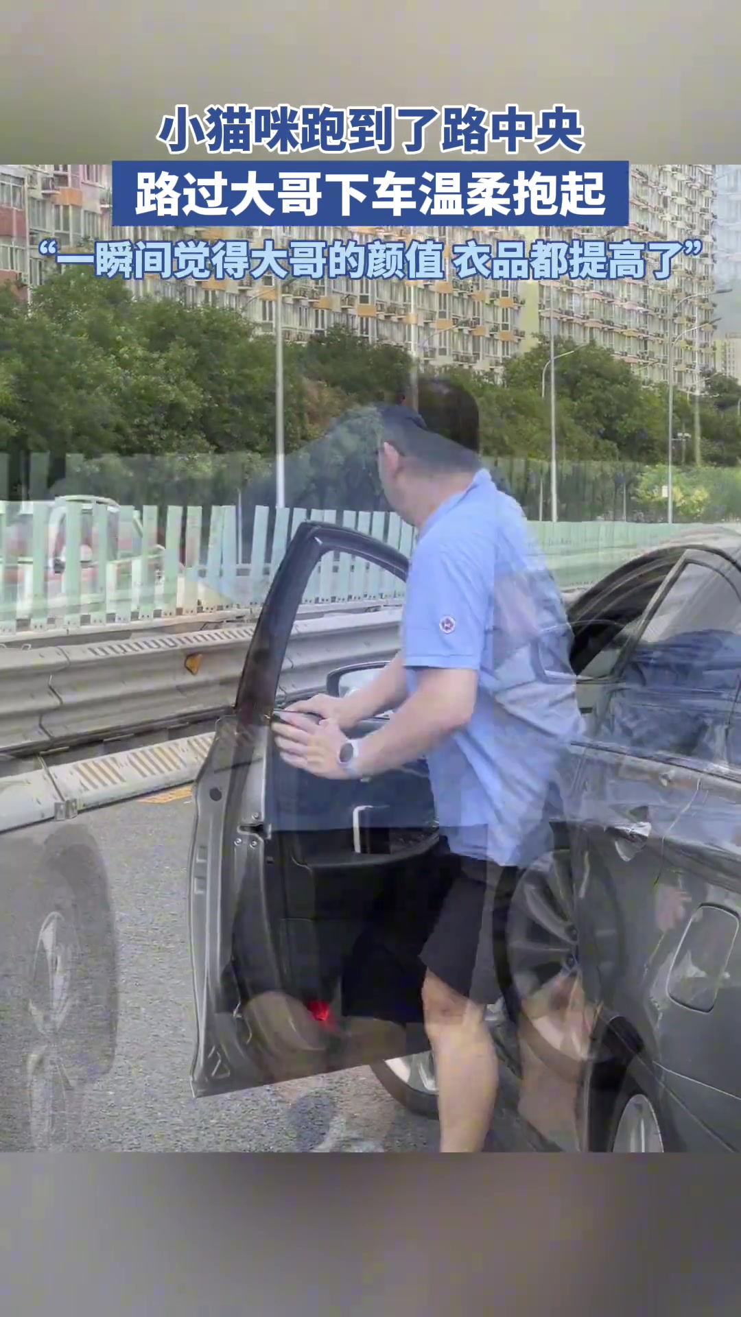 小猫咪跑到了路中央，路过大哥温柔抱起